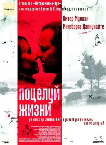 Поцелуй жизни (2003)