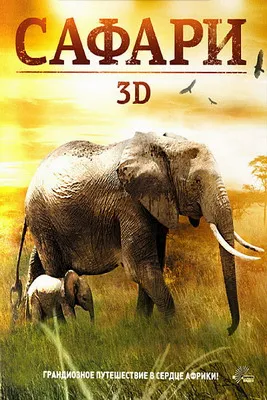 Сафари 3D (2005)