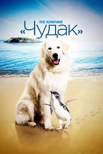 Чудак / По кличке «Чудак» (2015)