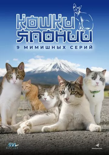 Кошки Японии (2017)