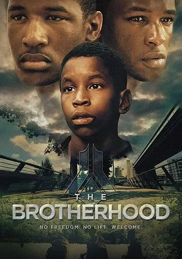 The Brotherhood (2017)