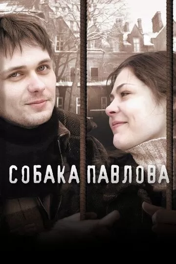 Собака Павлова (2005)