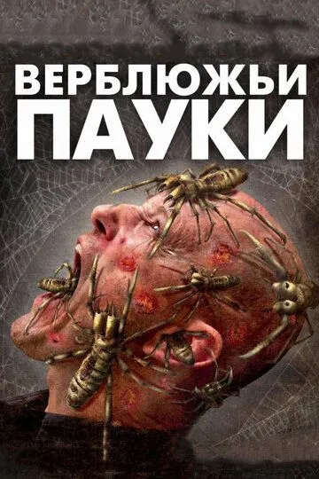 Верблюжьи пауки (2011)