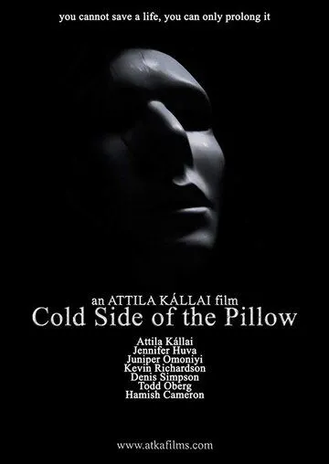 Cold Side of the Pillow (2017)