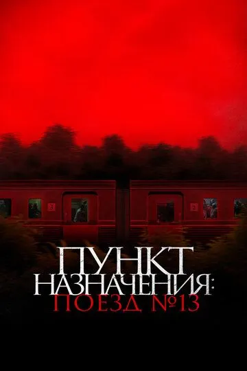 Пункт назначения: Поезд № 13 (2024)