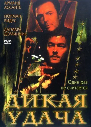 Дикая удача (2003) Фильмы про роковых женщин